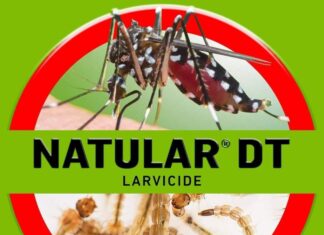 Natular DT Virtual Launch Walang Kiti-Kiti, Walang Kati!