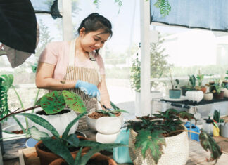 Add Some Splash Of Color To Your Apartment Balcony With These Easy To Grow Plants