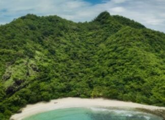 Hamilo Coast and WWF: partners in eco-tourism and sustainability