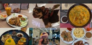 6 Pet-Friendly Food Destinations in SM City Manila To Munch on Good Food With Your Furbaby