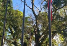 UN@80: Building the Future Together — A Month of  Peace, Partnership, and Purpose