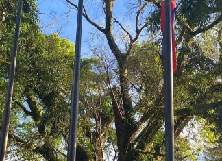 UN@80: Building the Future Together — A Month of  Peace, Partnership, and Purpose