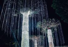 Everything You Need to Know for Estancia de Lorenzo’s Christmas Village Lighting