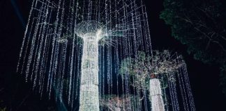 Everything You Need to Know for Estancia de Lorenzo’s Christmas Village Lighting