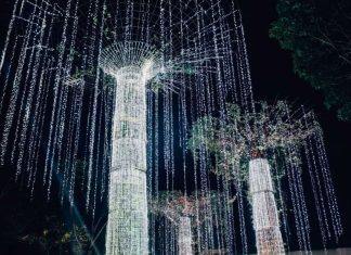 Everything You Need to Know for Estancia de Lorenzo’s Christmas Village Lighting